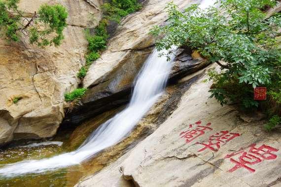 解答疑惑，尽在农村养牛喂青储饲料，防止牛拉稀买了啥草掺里面？多少钱一吨？问答交流平台